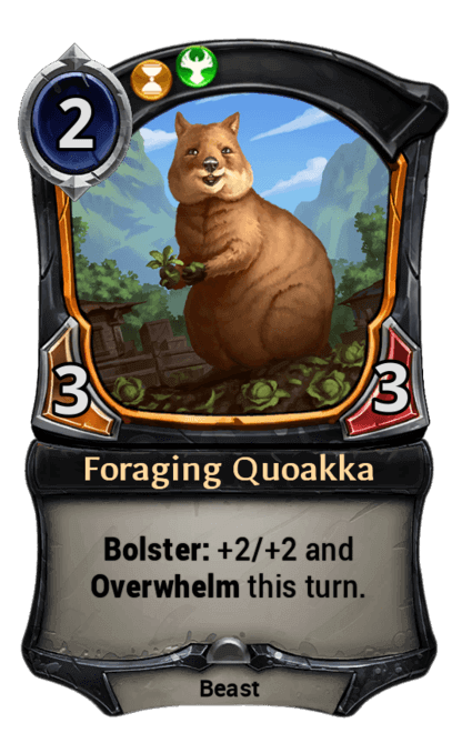 Card image for Foraging Quoakka