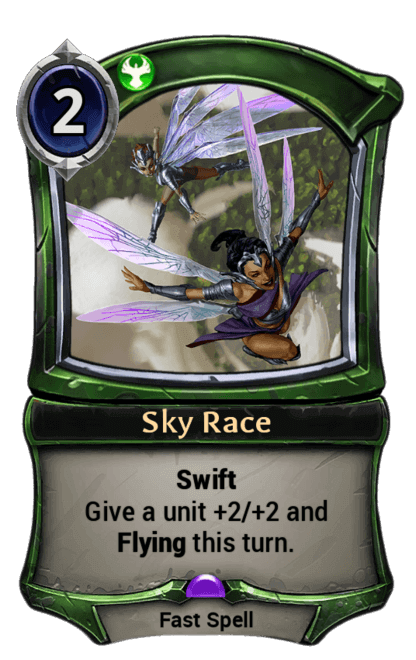 Card image for Sky Race