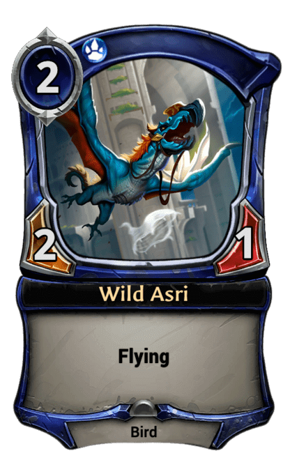 Card image for Wild Asri