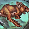 Card icon for Bounding Courier