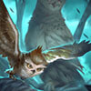 Card icon for Fledgling Owlet
