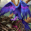 Card icon for Nesting Raven