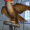 Card icon for Roosting Warhawk