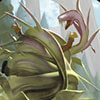 Card icon for Vine Grafter