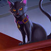 Card icon for Zido, Cabal Housecat
